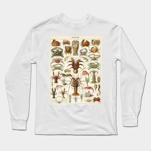 Crustacea Long Sleeve T-Shirt by MichaelaGrove